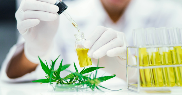 Can Cannabinoids Help Your Skincare Routine?
